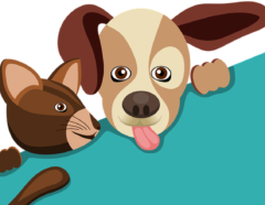 dogs_cats87.kz